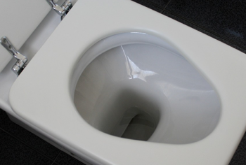formas de desentupir o vaso sanitário