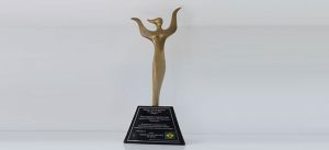 Premios que a desentupidora império ganhou