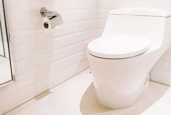 papel higiênico na privada