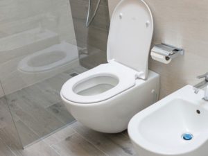 Desentupimento de vaso sanitário