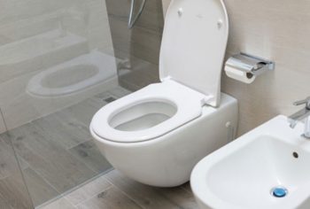 Desentupimento de vaso sanitário