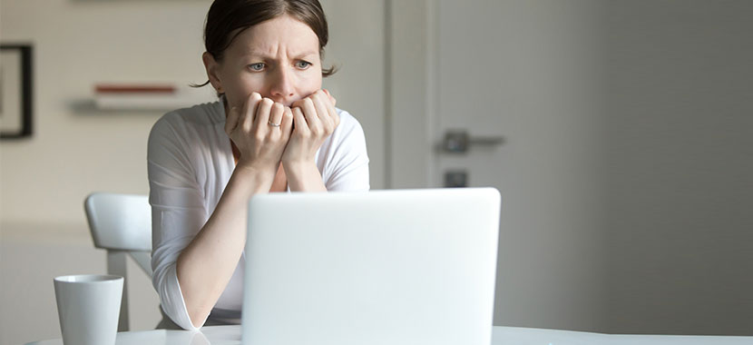 curiosidades baratas dedetização