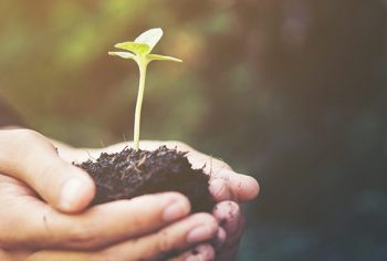 bons hábitos para ajudar o meio ambiente