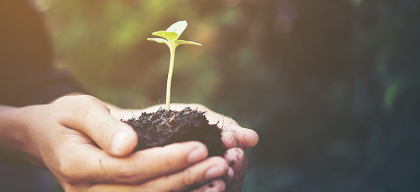 bons hábitos para ajudar o meio ambiente