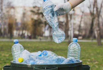 a importancia dos cuidados com o lixo