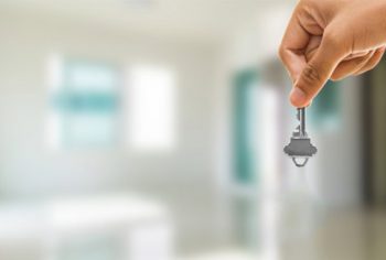 Dedetizar imóveis comerciais alugados