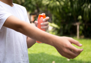 dicas para manter os insetos afastados no verão