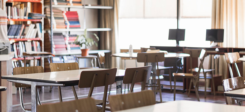 dedetização para escolas