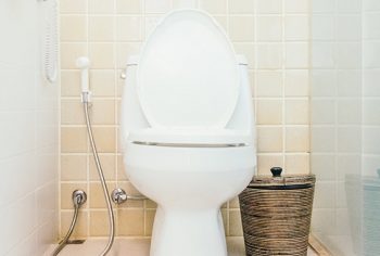 Mistos sobre como desentupir vaso sanitário