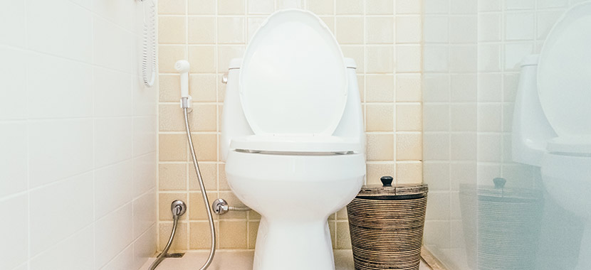 Mistos sobre como desentupir vaso sanitário