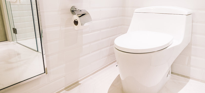 nunca jogue isso no vaso sanitário