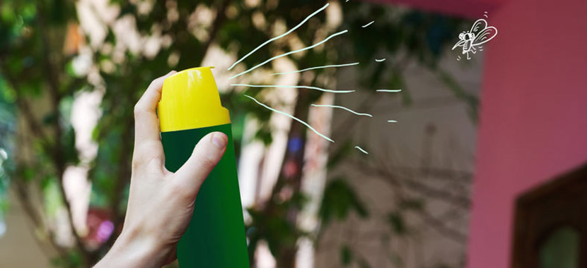 Quais cuidados tomar com cada tipo de inseticida