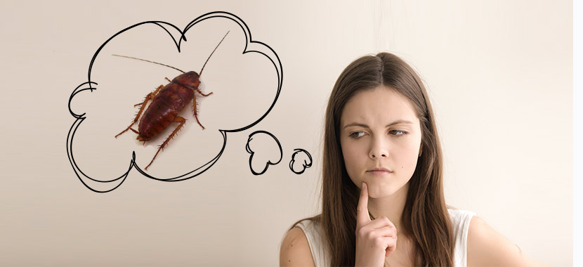 Por que as baratas voam?