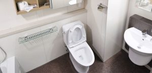 Como desentupidor vaso sanitário