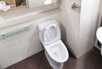 Como desentupidor vaso sanitário