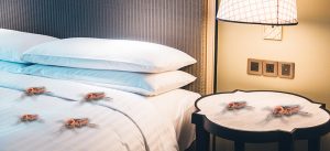 Infestação de baratas