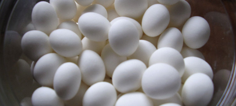 Problemas causados pelo uso incorreto da Naftalina