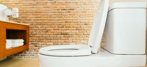 Como desentupir a privada