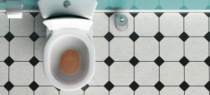 Como desentupir o vaso sanitário