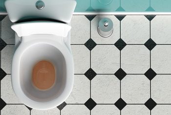 Como desentupir o vaso sanitário