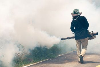 Controle de pragas atividade essencial para a população