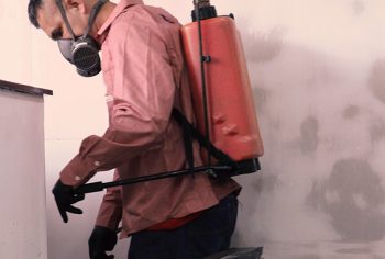 Dedetização, limpeza de caixa d'água e sanitização para começar 2021 organizado