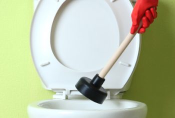 privada entupida como desentupir?