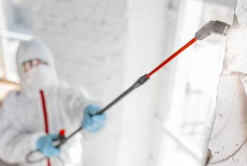 Equipamentos para controle de pragas