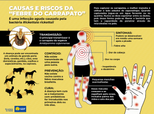 DOença transmitidas por carrapatos