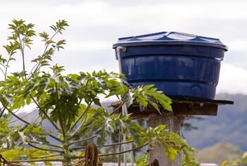 Por que fazer a limpeza regular da caixa d'água é essencial?