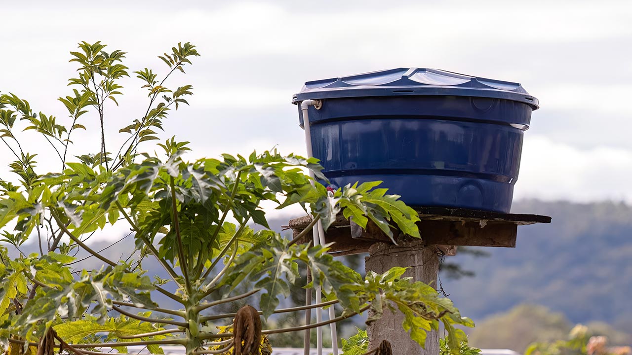 Por que fazer a limpeza regular da caixa d'água é essencial?