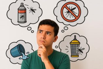 Qual é a melhor maneira de combater a dengue?