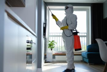 Quanto custa para dedetizar um apartamento em São Paulo?