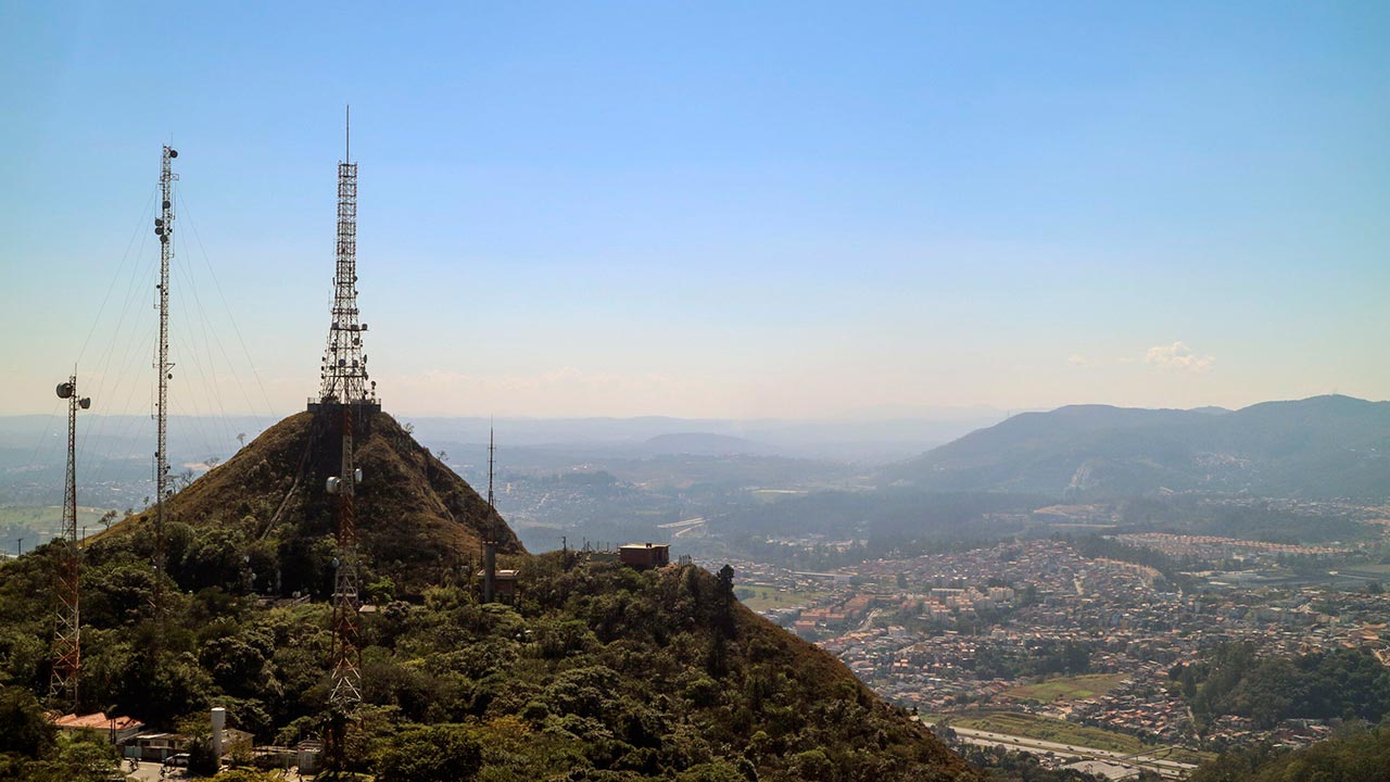 Dedetização na Zona Norte de SP: Proteja Sua Casa das Pragas Mais Comuns da Região