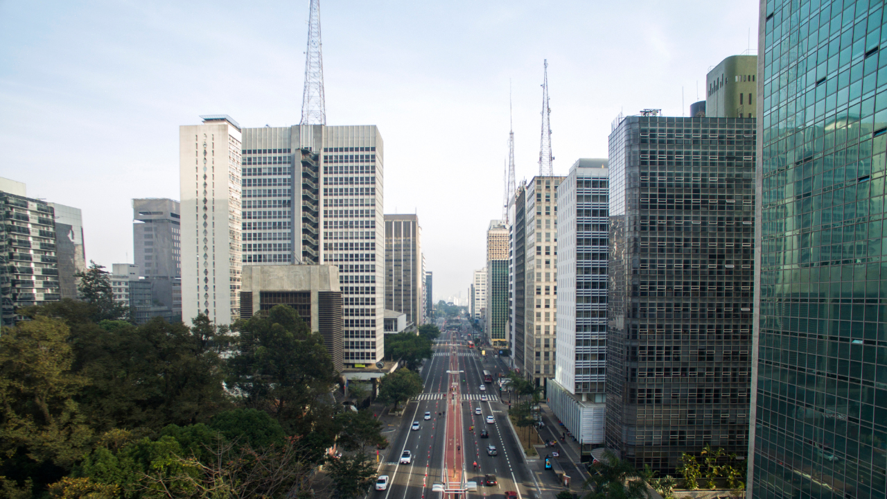 Desentupidora e Dedetizadora Certificada: Por Que Sua Empresa no Centro de SP Precisa de Laudos