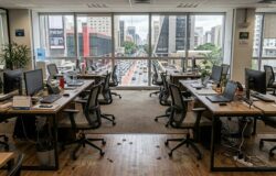 Dedetização em Escritórios e Coworkings no Centro e Av. Paulista: Preparando o 