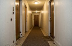Dedetização de Baratas em Apartamentos em São Paulo e ABC Paulista: Por Que Elas Voltam e Como Eliminar de Vez