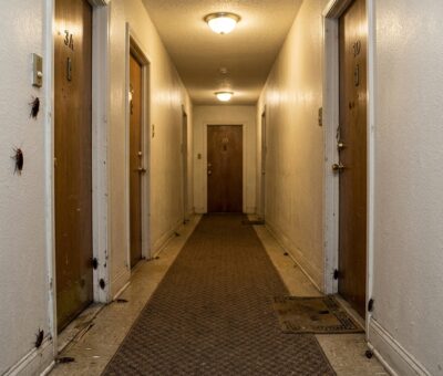 Dedetização de Baratas em Apartamentos em São Paulo e ABC Paulista: Por Que Elas Voltam e Como Eliminar de Vez
