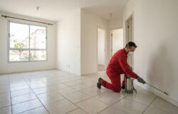 Dedetização Pré-Mudança Por que Tratar o Imóvel Vazio Antes de Levar as Malas