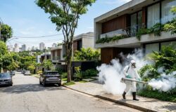 Dedetização de Mosquitos em São Paulo