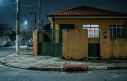 Invasão de Ratos no Inverno Por que Eles Saem do Esgoto para os Imóveis nos Meses Secos