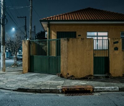 Invasão de Ratos no Inverno Por que Eles Saem do Esgoto para os Imóveis nos Meses Secos