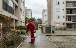Por Que Dedetizar no Inverno O Que Acontece com as Pragas no Frio em São Paulo e Por Que Esse É o Melhor Momento para Agir