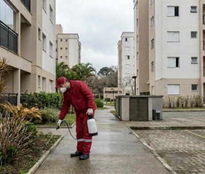 Por Que Dedetizar no Inverno O Que Acontece com as Pragas no Frio em São Paulo e Por Que Esse É o Melhor Momento para Agir