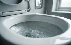 Vaso Sanitário Borbulhando ou com Nível Baixo