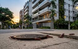 A Volta do Calor e as Baratas de Esgoto Por que Elas Começam a Invadir os Imóveis em Setembro