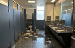 Banheiro Escolar Entupido: Como Manter a Higiene e Evitar Interrupção das Aulas em SP
