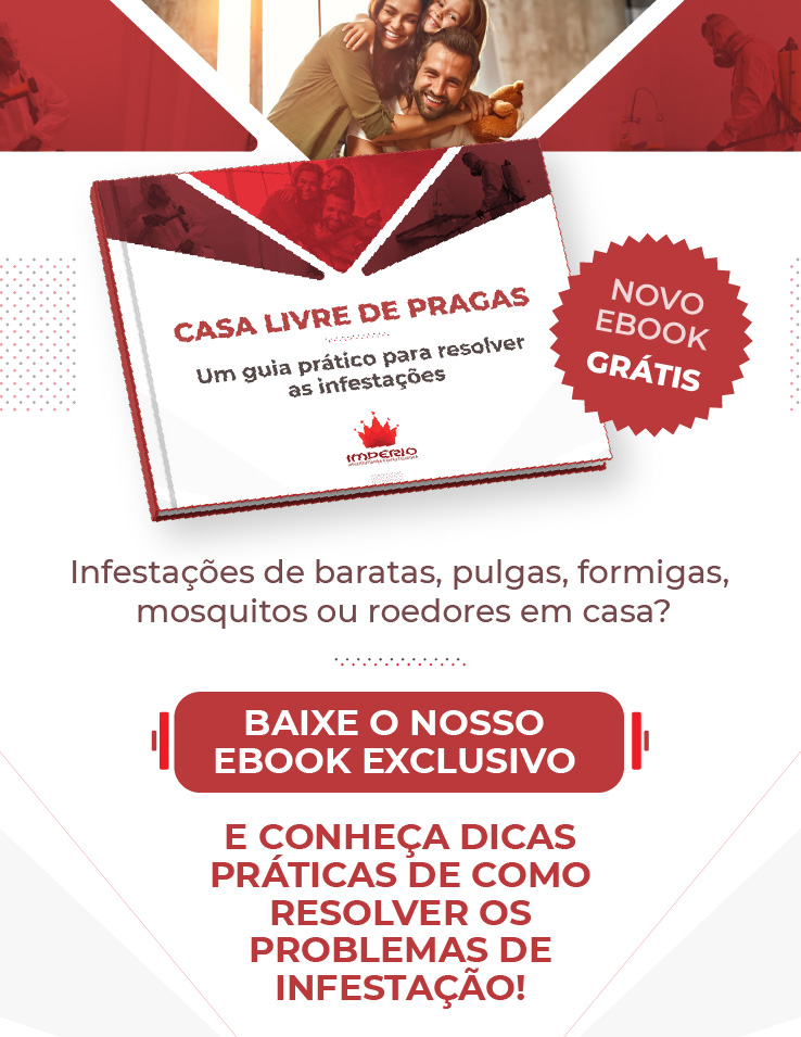 Casa livre de pragas: Um guia prático para resolver infestações