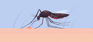 Doenças e insetos