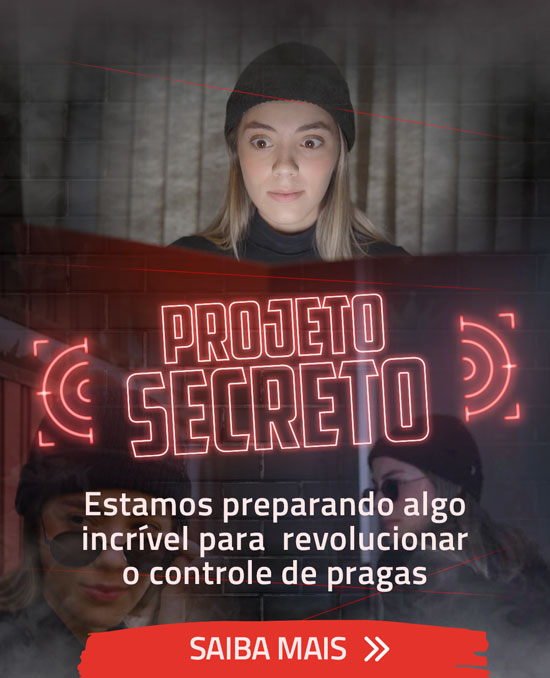 Projeto secreto